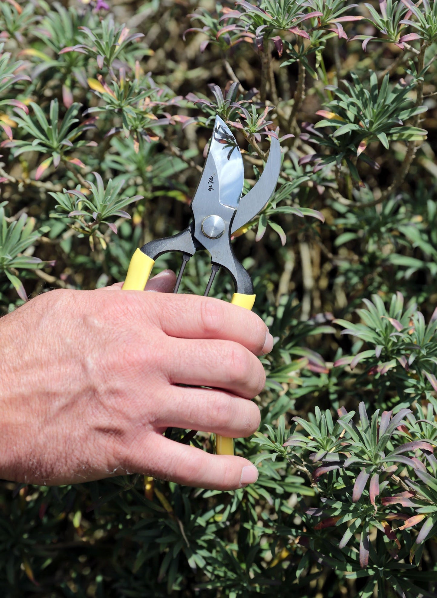 Niwaki GR Pro Secateurs