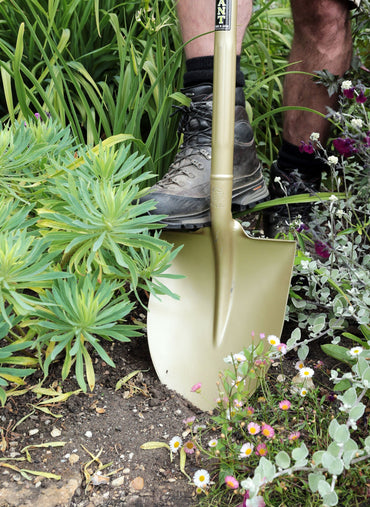 Niwaki Golden Spade