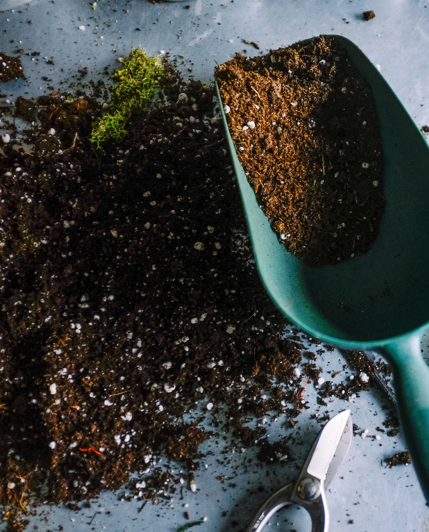Peat Free Compost - 40L - Wide Border