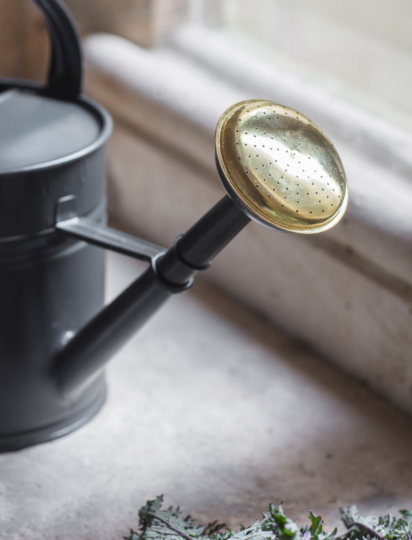 Watering Can - 10L